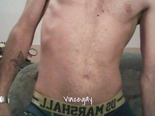 Vincegay