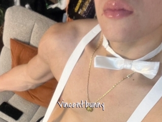 Vincentbunny