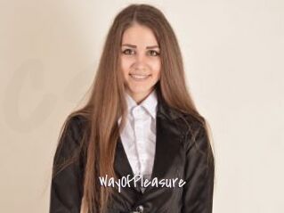 WayOfPleasure