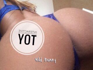 Wild_Bunny_ Commando Sexy