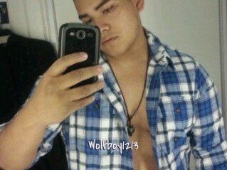 Wolfboy1213