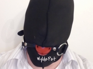 WyldePet