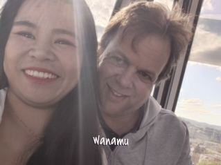 Wanamu