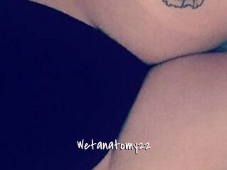 Wetanatomy22