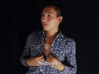 Wildboysex