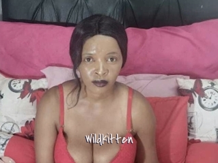 wildkitten Commando Sexy