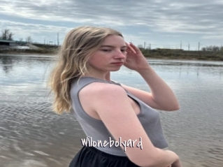 Wilonebolyard