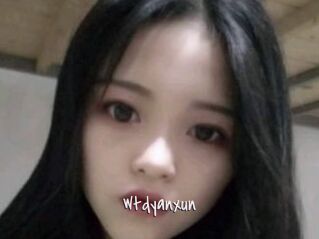 Wtdyanxun