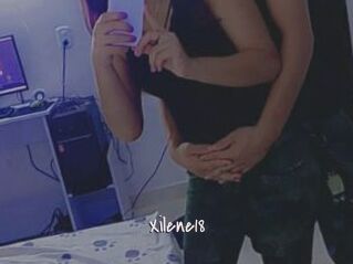 Xilene18