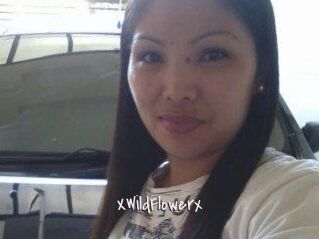 XWildFlowerx