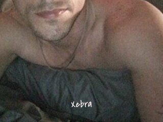 Xebra