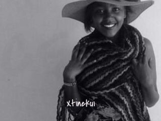 Xtinekui