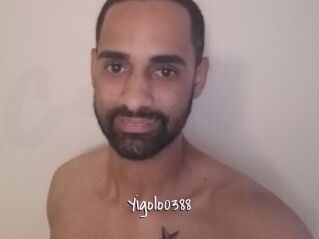 Yigolo0388