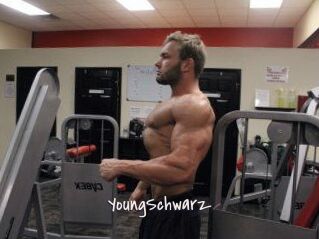 YoungSchwarz
