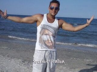 YourHotStallion