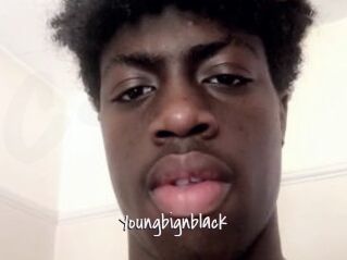 Youngbignblack