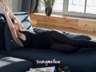 Youngmellow